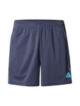 ADIDAS PERFORMANCE Sportshorts Essentials taubenblau/hellblau