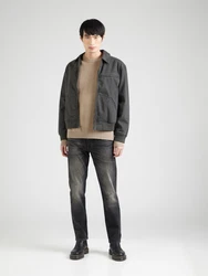 SELECTED HOMME Rundhalspullover SLHDANE dunkelbeige