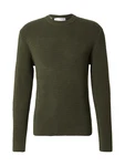 SELECTED HOMME Pullover 'SLHTheo' Dunkelgrün/Dunkelgrün/Dunkelgrün/Dunkelgrün/Dunkelgrün/Dunkelgrün/Dunkelgrün SELECTED HOMME Pullover 'SLHTheo' Dunkelgrün/Dunkelgrün/Dunkelgrün/Dunkelgrün/Dunkelgrün/Dunkelgrün/Dunkelgrün