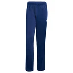 ADIDAS ORIGINALS Hose 'Adicolor Classics Firebird' enzian/weiß