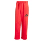 ADIDAS SPORTSWEAR Sporthose 'Essentials' rot/schwarz