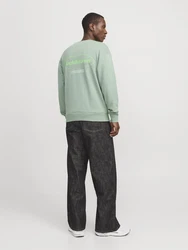 Jack & Jones Sweatshirt JJEBRADLEY GRAPHIC SWEAT CREW NOOS Grün/Hellgrün/Grün/Hellgrün/Grün/Hellgrün/Grün/Hellgrün/Grün/Hellgrün/Grün/Hellgrün/Grün/Hellgrün/Grün/Hellgrün/Grün/Hellgrün/Grün/Hellgrün/Grün/Hellgrün/Grün/Hellgrün/Grün/Hellgrün/Grün/Hellgrün/Grün/Hellgrün/Grün/Hellgrün/Grün/Hellgrün