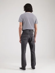 Tommy Jeans Regular-fit-Jeans Ryan anthrazit