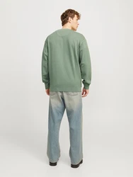 JACK & JONES Sweatshirt 'JJECharge' hellgrün