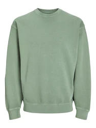JACK & JONES Sweatshirt 'JJECharge' hellgrün