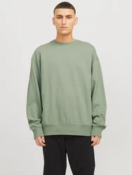 JACK & JONES Sweatshirt 'JJECharge' pastellgrn