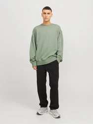 JACK & JONES Sweatshirt 'JJECharge' pastellgrn