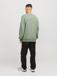 JACK & JONES Sweatshirt 'JJECharge' pastellgrn