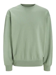 JACK & JONES Sweatshirt 'JJECharge' pastellgrn