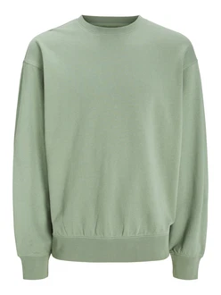 JACK & JONES Sweatshirt 'JJECharge' pastellgrn