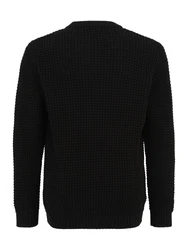 Jack & Jones Plus Pullover JCOZION schwarz