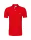 LACOSTE Poloshirt grasgrün / rot / weiß