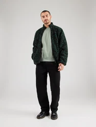 JACK & JONES Sweatshirt JJESTAR BASIC (4012) pastellgrn