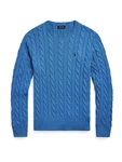 Polo Ralph Lauren Pullover 'Driver' blau