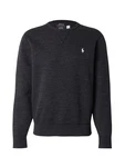 Polo Ralph Lauren Sweatshirt schwarz/weiß