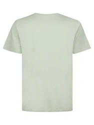 Petrol Industries Rundhalsshirt mit Logo Stickerei pastellgrün