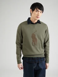 Polo Ralph Lauren Sweatshirt braun/grün