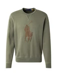 Polo Ralph Lauren Sweatshirt braun/grün