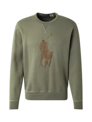Polo Ralph Lauren Sweatshirt braun/grün