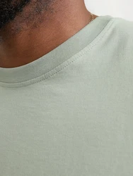 Jack & Jones Plus T-Shirt 'JJESTAR' mint / weiß