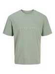 Jack & Jones Plus T-Shirt 'JJESTAR' mint / weiß