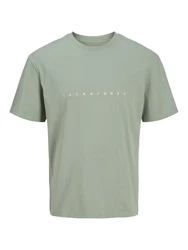 Jack & Jones Plus T-Shirt 'JJESTAR' mint / weiß