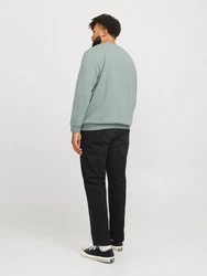 Jack & Jones Plus Sweatshirt Bradley pastellgrn