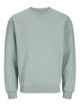 Jack & Jones Plus Sweatshirt Bradley pastellgrn