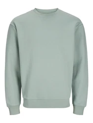 Jack & Jones Plus Sweatshirt Bradley pastellgrn