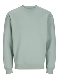 Plus Sweatshirt 'JJEBradley' pastellgrn