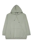 Jack & Jones Plus Sweatshirt 'JJEBRADLEY' pastellgrn