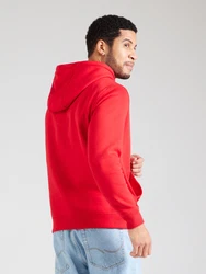 Tommy Jeans Sweatshirt TJM REG S FLAG HOODIE Rot/Rot