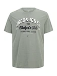 Jack & Jones Plus T-Shirt nachtblau/pastellgrn/wei