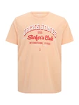 Jack & Jones Plus T-Shirt pfirsich/rot/weiß