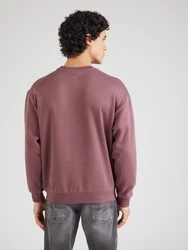 QS Sweatshirt mit Logostickerei mauve