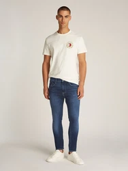 Tommy Jeans Jeans 'AUSTIN' schwarz
