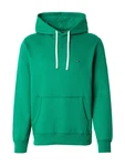 Tommy Hilfiger Hoodie ESS SEASONAL FLEECE HOODY grün