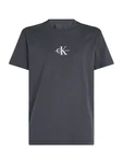 Calvin Klein Jeans T-Shirt dunkelgrau/weiß