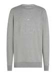 TOMMY HILFIGER Sweatshirt grau
