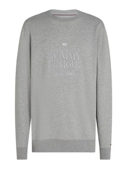 TOMMY HILFIGER Sweatshirt grau