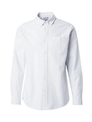 SELECTED HOMME Langarmhemd Rick (1-tlg) pastellgrn/wei