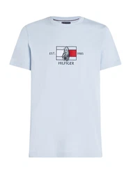 TOMMY HILFIGER T-Shirt taubenblau/rot/schwarz