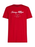 TOMMY HILFIGER T-Shirt marine/blutrot/weiß