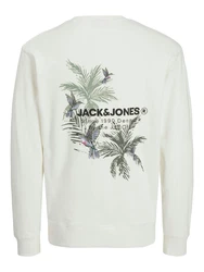 JACK & JONES Sweatshirt 'JJHAWAII' grn/helllila/schwarz/wei