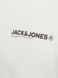 JACK & JONES Sweatshirt 'JJHAWAII' grn/helllila/schwarz/wei