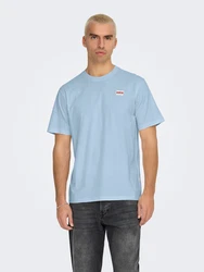 Only & Sons T-Shirt 'ONSDAWSON' hellblau