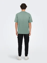 ONLY & SONS T-Shirt Fred schilf
