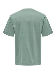 ONLY & SONS T-Shirt Fred schilf