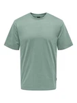 ONLY & SONS T-Shirt Fred schilf