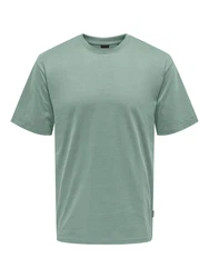 ONLY & SONS T-Shirt Fred schilf